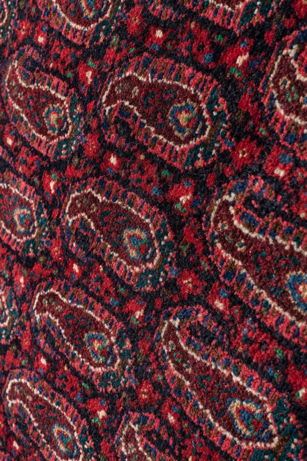 Senneh  Rug at Essie Carpets, Mayfair London