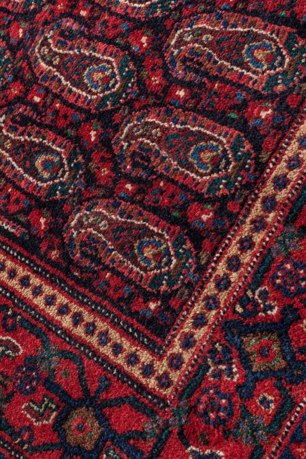 Senneh  Rug at Essie Carpets, Mayfair London